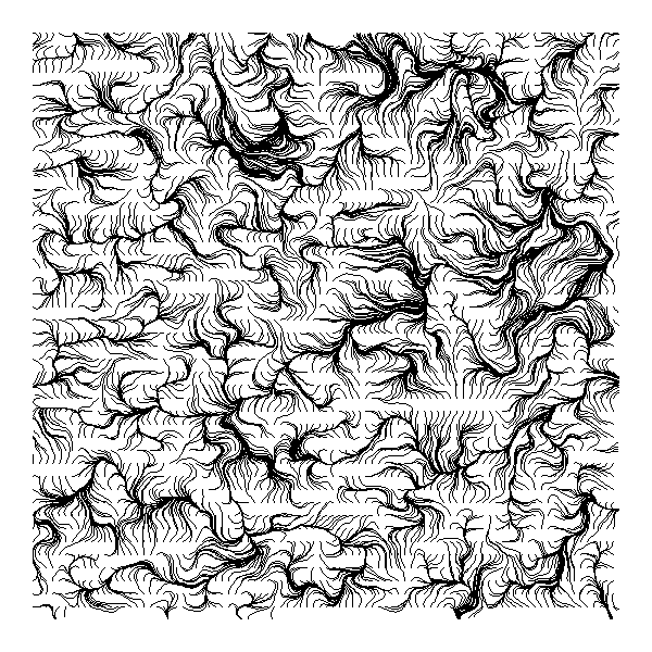 Flow field specimen showing laminar particle traces through a curl noise vector field, with stroke density varying by seeding strategy