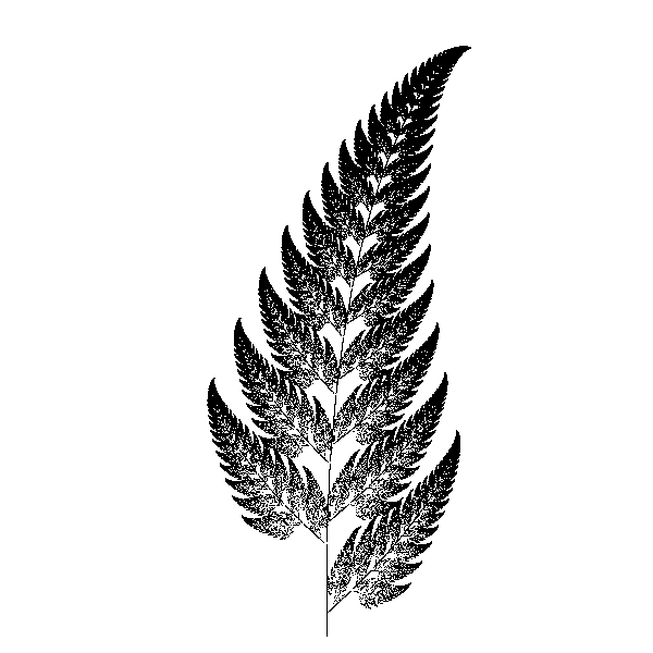 Fractal specimen showing self-similar branching structures rendered as continuous pen strokes